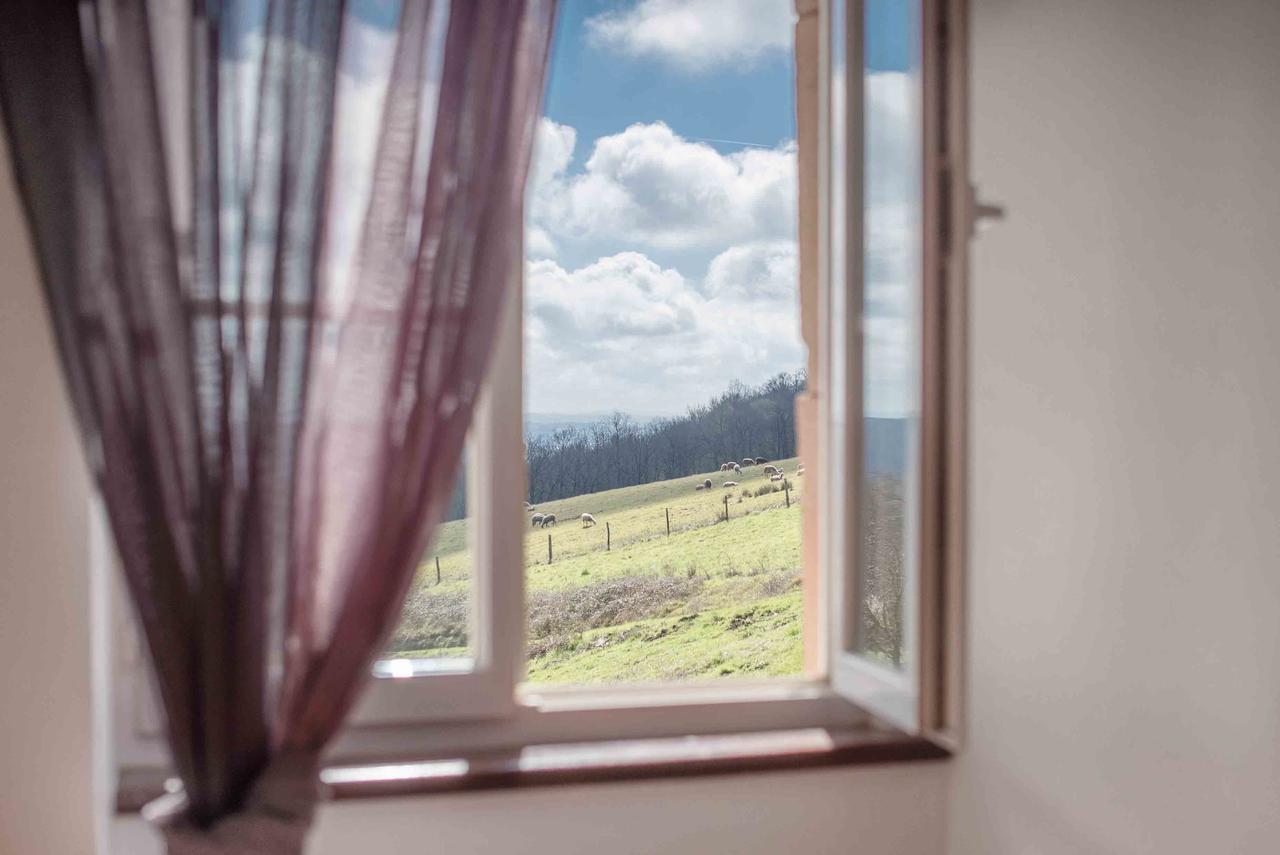 Chambres D'hotes Le Pignie Lescure-d'Albigeois